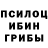 Псилоцибиновые грибы Cubensis DRIFT Tuning